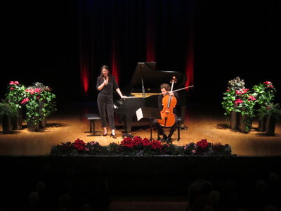 Foto des Albums: Hornig-Duo