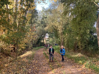 Foto des Albums: Wandertag zur Forstfarm 3c