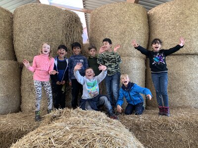 Foto des Albums: Wandertag zur Forstfarm 3c