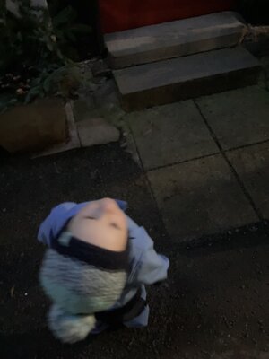 Vorschaubild: 09 12 2022 Voller Spannung was da zum Vorschein kommt