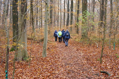 RuheForst Deister  (Bild vergr&ouml;&szlig;ern)