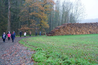 Wir verlassen den Wald  (Bild vergr&ouml;&szlig;ern)
