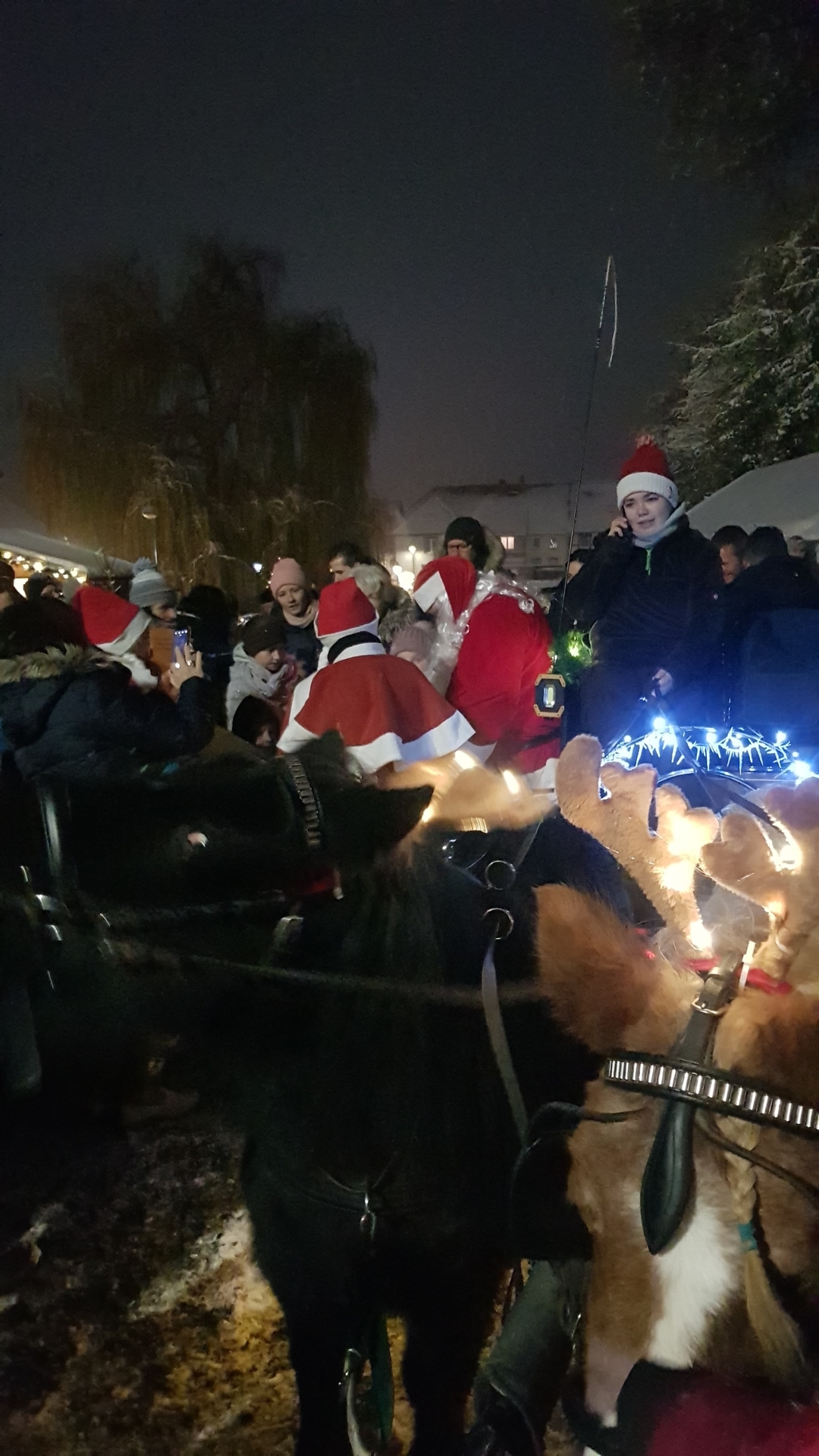 Bild : Der Weihnachtsmann mit Schlitten und Gehilfen (14)