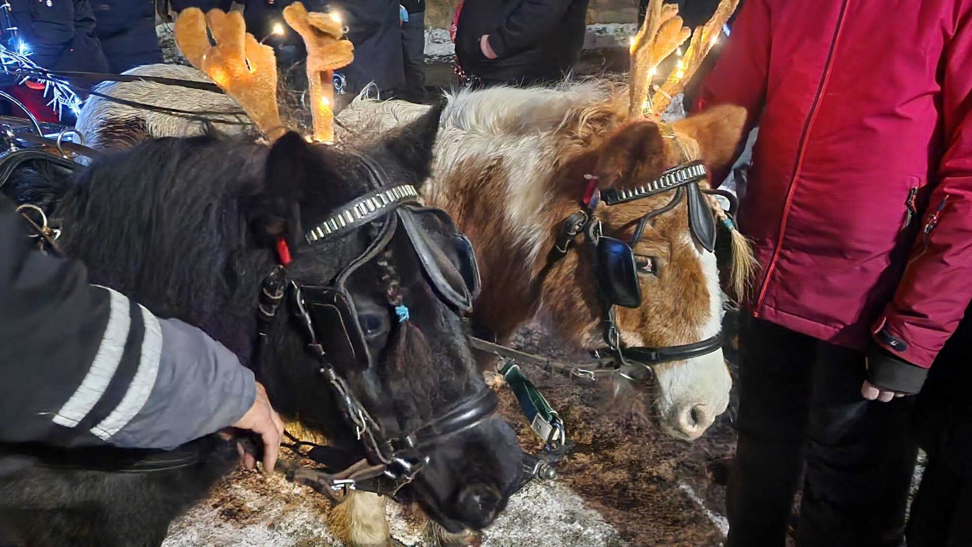 Bild : 5.Weihnachtsmarkt im Zentrum von Rieder am Harz
