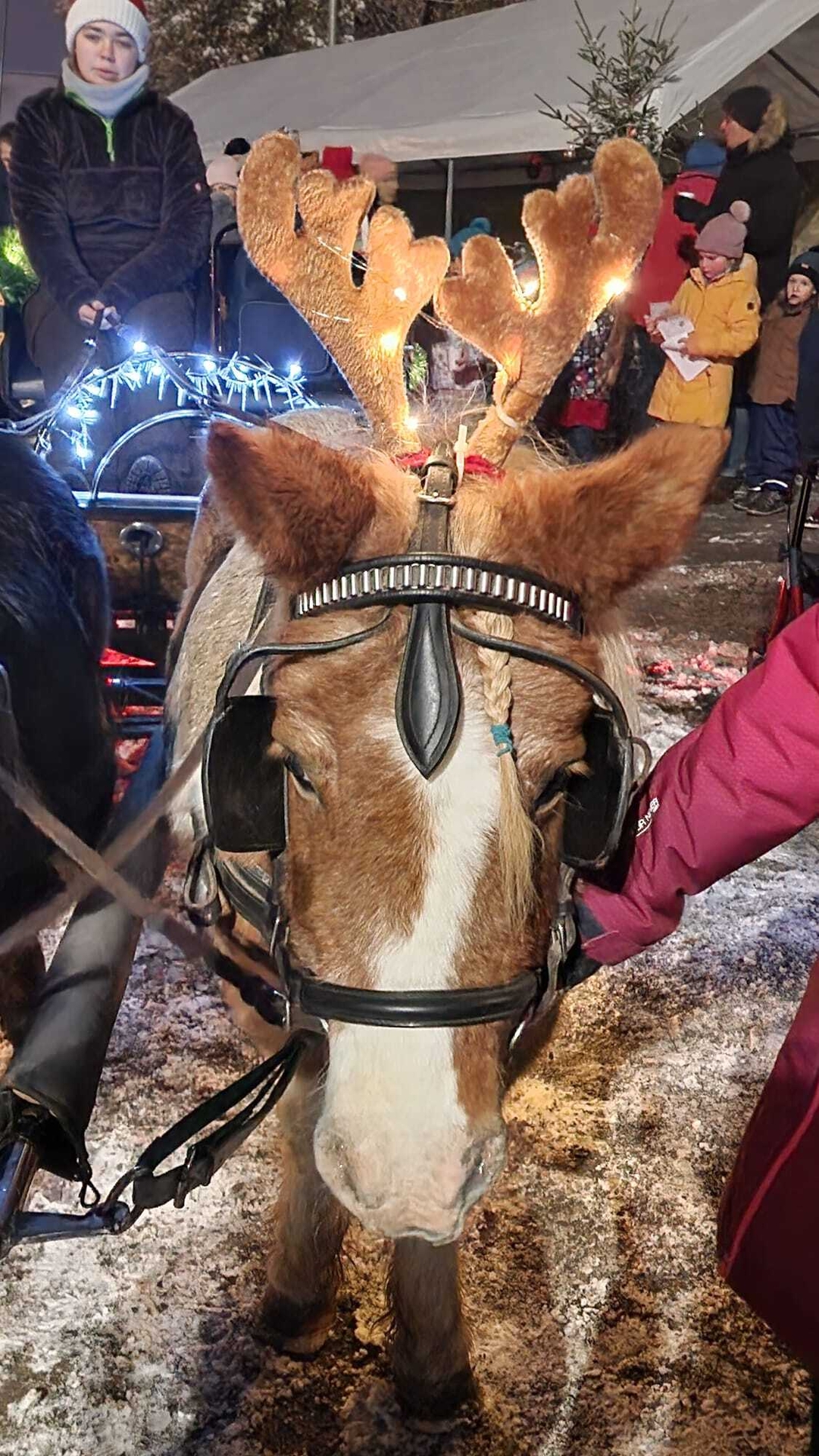 Bild : 5.Weihnachtsmarkt im Zentrum von Rieder am Harz