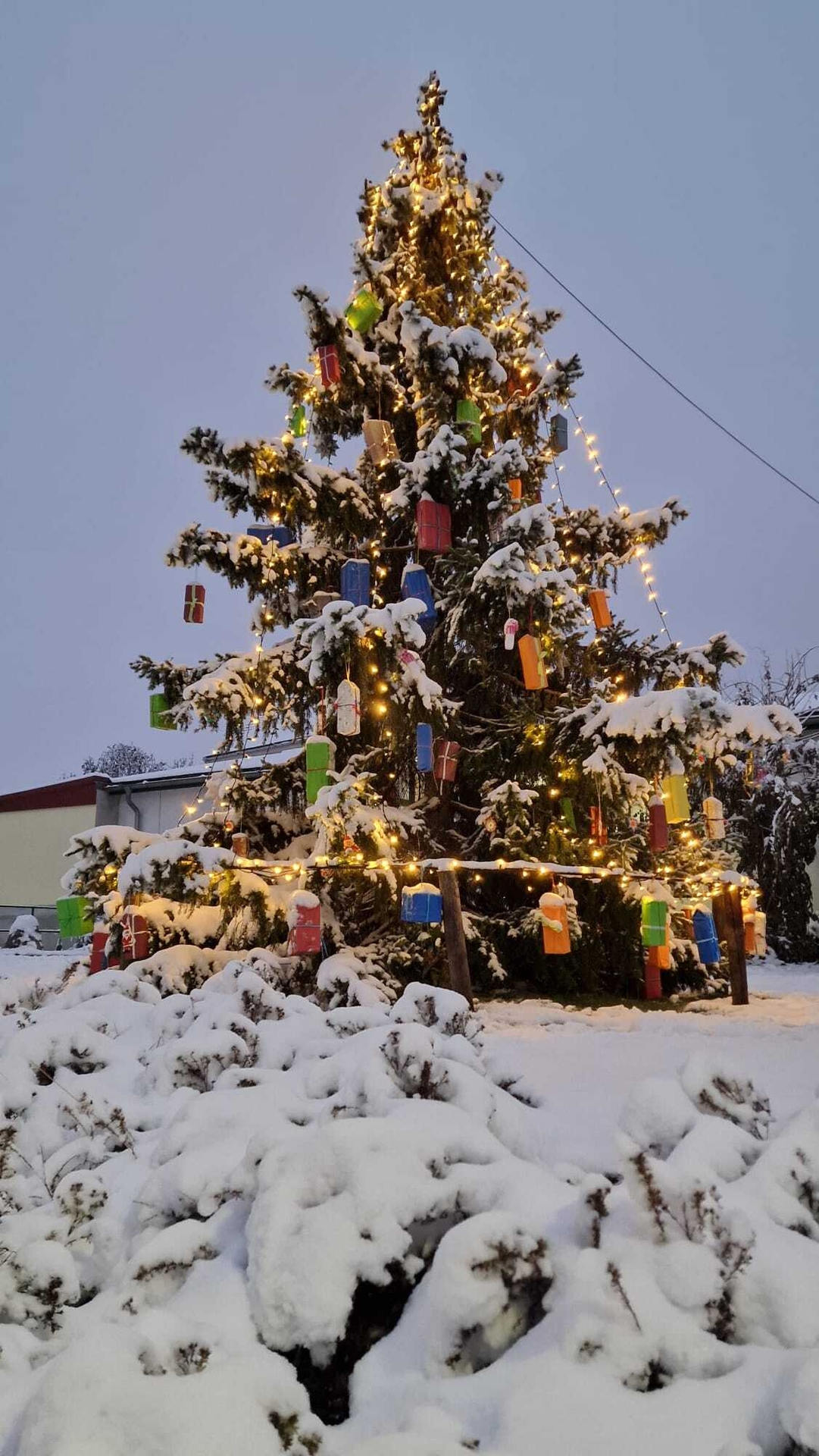 Bild : 5.Weihnachtsmarkt im Zentrum von Rieder am Harz