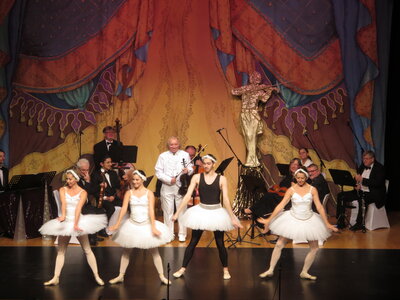 Foto des Albums: Wiener Operetten-Weihnacht