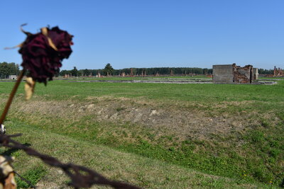 Foto des Albums: Bildungsreise Polen - Jugendclub 