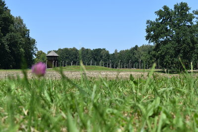 Foto des Albums: Bildungsreise Polen - Jugendclub 