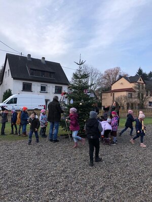 Foto des Albums: Christbaumgestaltung 1. Klassen