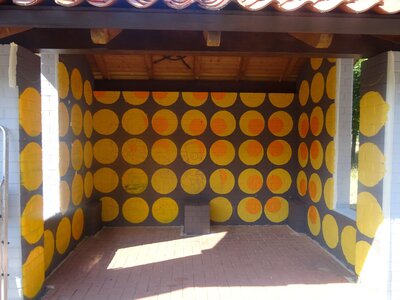 Foto des Albums: Graffiti - Projekt: 