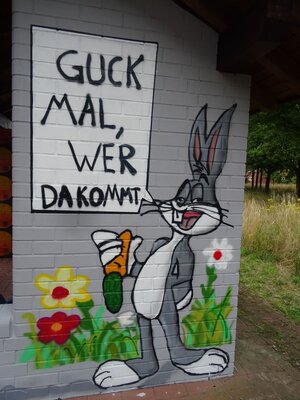 Foto des Albums: Graffiti - Projekt: 