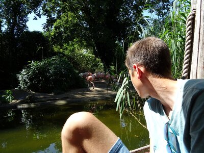 Foto des Albums: Sommerferienaktion: Zoo Hannover