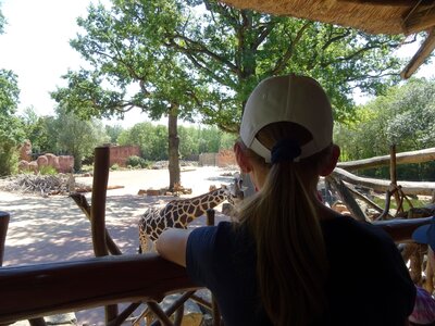 Foto des Albums: Sommerferienaktion: Zoo Hannover