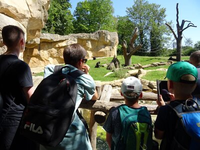 Foto des Albums: Sommerferienaktion: Zoo Hannover