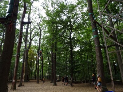 Foto des Albums: Sommerferienaktion: Seilgarten Hannover