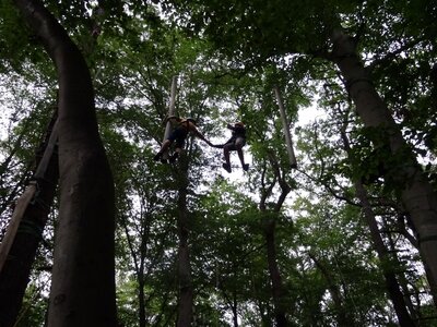 Foto des Albums: Sommerferienaktion: Seilgarten Hannover