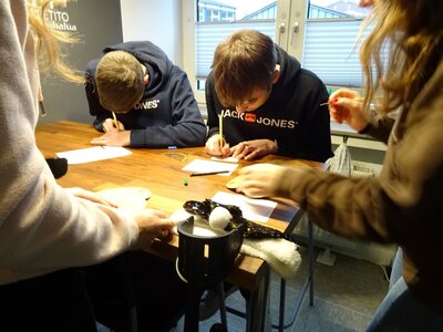 Foto des Albums: Jahresabschluss