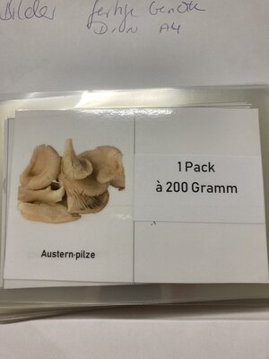 Mit diesen K&auml;rtchen ging es zum Einkaufen 