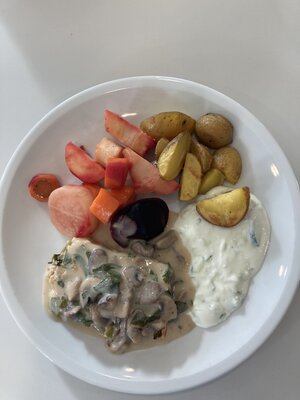Unser Hauptgericht: Putenhackbraten mit Pilzsauce, Ofengem&uuml;se, Ofenkartoffeln und Zaziki 