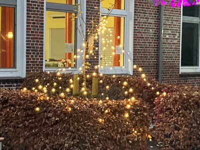 Foto des Albums: Lichterfest 2022