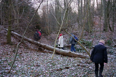 Kleine Hindernisse  (Bild vergr&ouml;&szlig;ern)