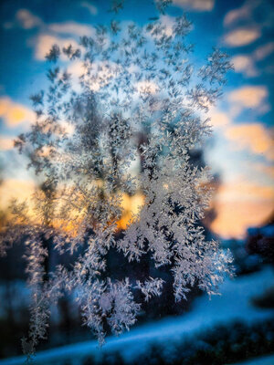 Foto des Albums: Hornstorfer Winter