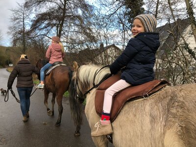 Foto des Albums: Merlin - Vier Hufe zum Glück / Impressionen 2022 (19. 12. 2022)