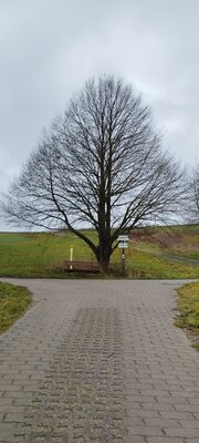 Foto des Albums: Rundwanderung Bad Alexandersbad über Sichersreuth