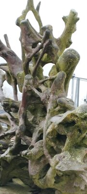 Foto des Albums: Rundwanderung Bad Alexandersbad über Sichersreuth