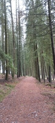 Foto des Albums: Rundwanderung Bad Alexandersbad über Sichersreuth