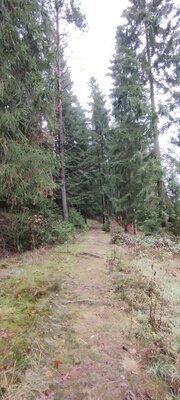 Foto des Albums: Rundwanderung Bad Alexandersbad über Sichersreuth