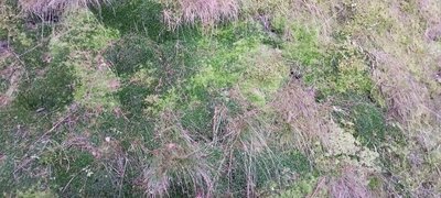Foto des Albums: Rundwanderung Bad Alexandersbad über Sichersreuth