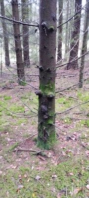 Foto des Albums: Rundwanderung Bad Alexandersbad über Sichersreuth