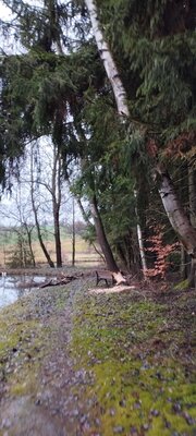 Foto des Albums: Rundwanderung Bad Alexandersbad über Sichersreuth