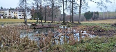 Foto des Albums: Rundwanderung Bad Alexandersbad über Sichersreuth