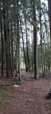 Foto des Albums: Rundwanderung Bad Alexandersbad über Sichersreuth