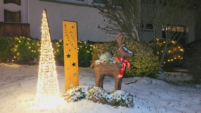 Foto des Albums: Weihnachtliches Bengel (25. 12. 2022)