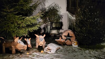 Foto des Albums: Weihnachtliches Bengel (25. 12. 2022)