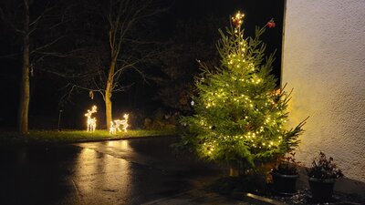 Foto des Albums: Weihnachtliches Bengel (25. 12. 2022)