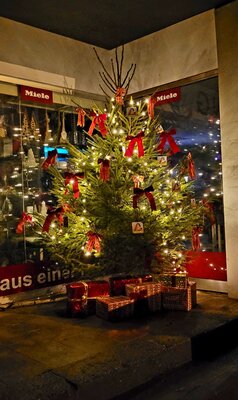 Foto des Albums: Weihnachtliches Bengel (25. 12. 2022)