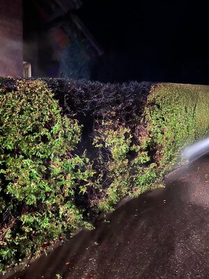Foto des Albums: Einsatz 01.01.2023