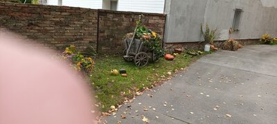 Foto des Albums: Schnappschüsse aus dem OT Frose/Anhalt 2022