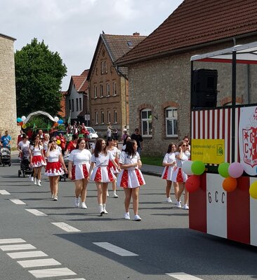 Umzug Karneval  (Bild vergr&ouml;&szlig;ern)