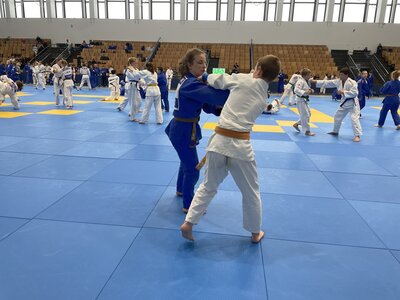 Foto des Albums: ITC 2023