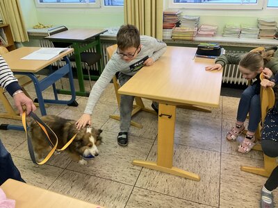 Foto des Albums: Der Lesehund bei uns (20. 12. 2022)