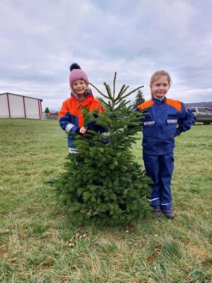 Foto des Albums: Weihnachtsbaumaktion und Baumglühen 2023 (10. 01. 2023)