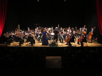 Foto des Albums: Neujahrs-konzert BSOF