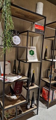 Foto des Albums: Partnerschaftsbesuch in den Verbandsgemeinden Bernkstel-Kues und Langenlonsheim-Strombrg