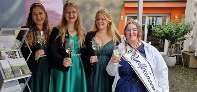 Foto des Albums: Partnerschaftsbesuch in den Verbandsgemeinden Bernkstel-Kues und Langenlonsheim-Strombrg